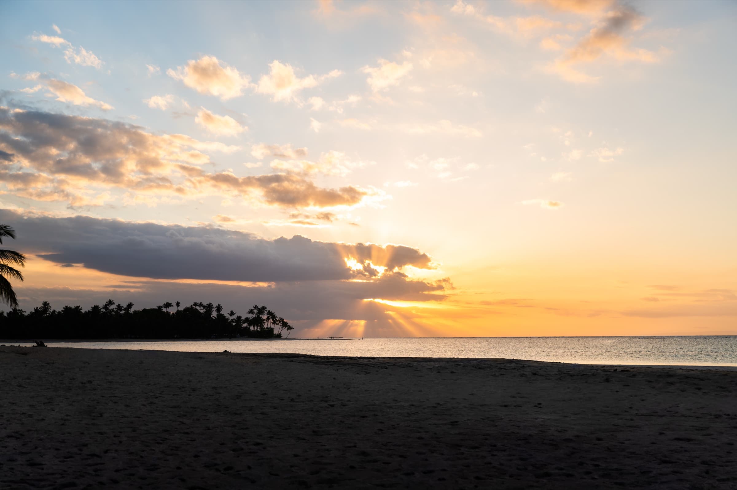Sunset over the palm-lined shore, Dominican Republic