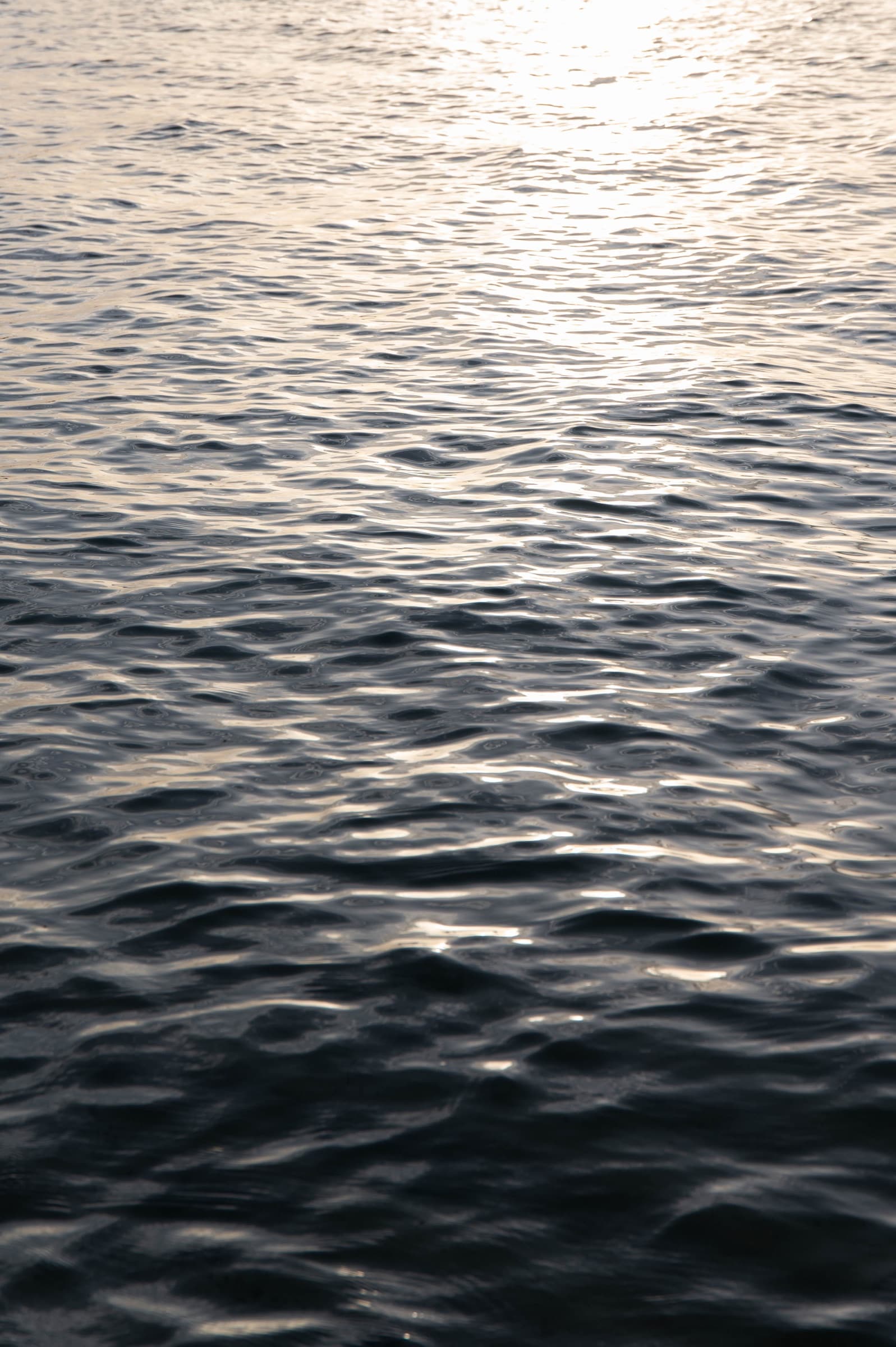 Sunlight rippling across open water