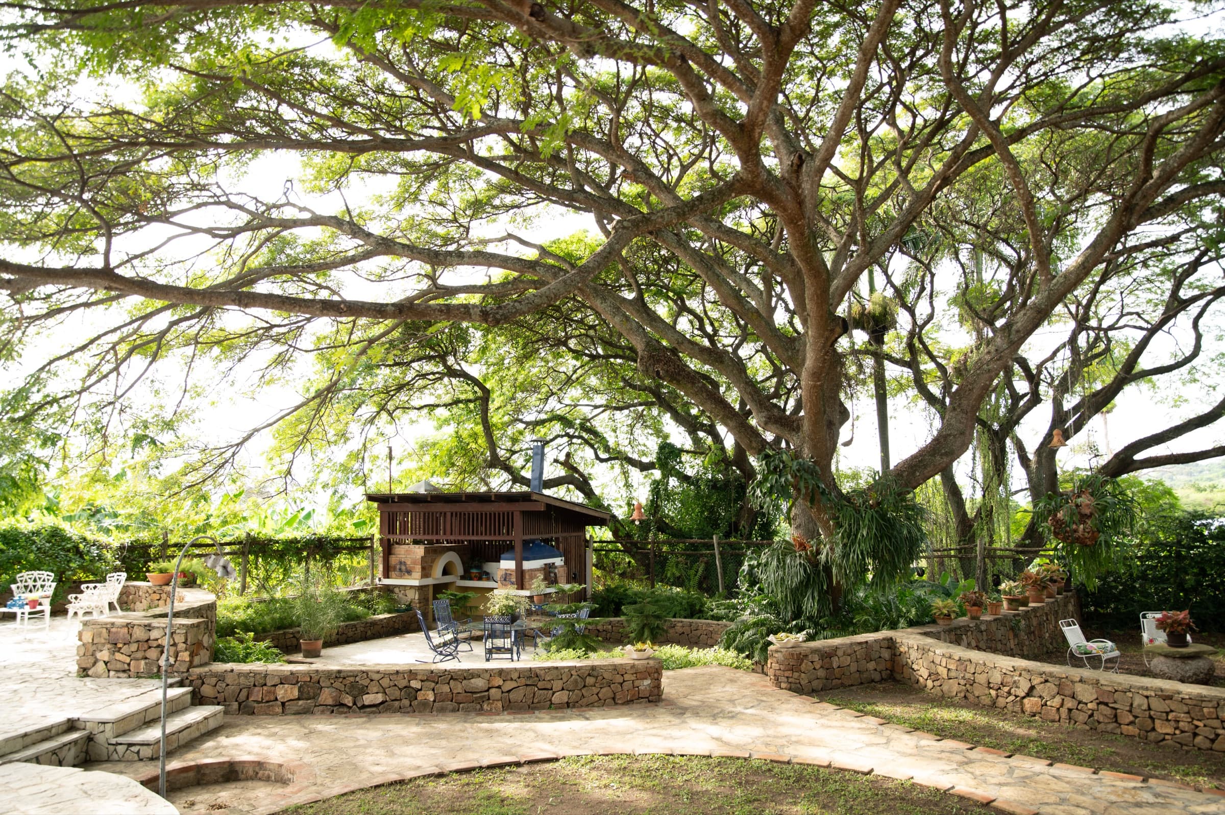Garden courtyard beneath a large tree, wedding venue in the Dominican Republic
