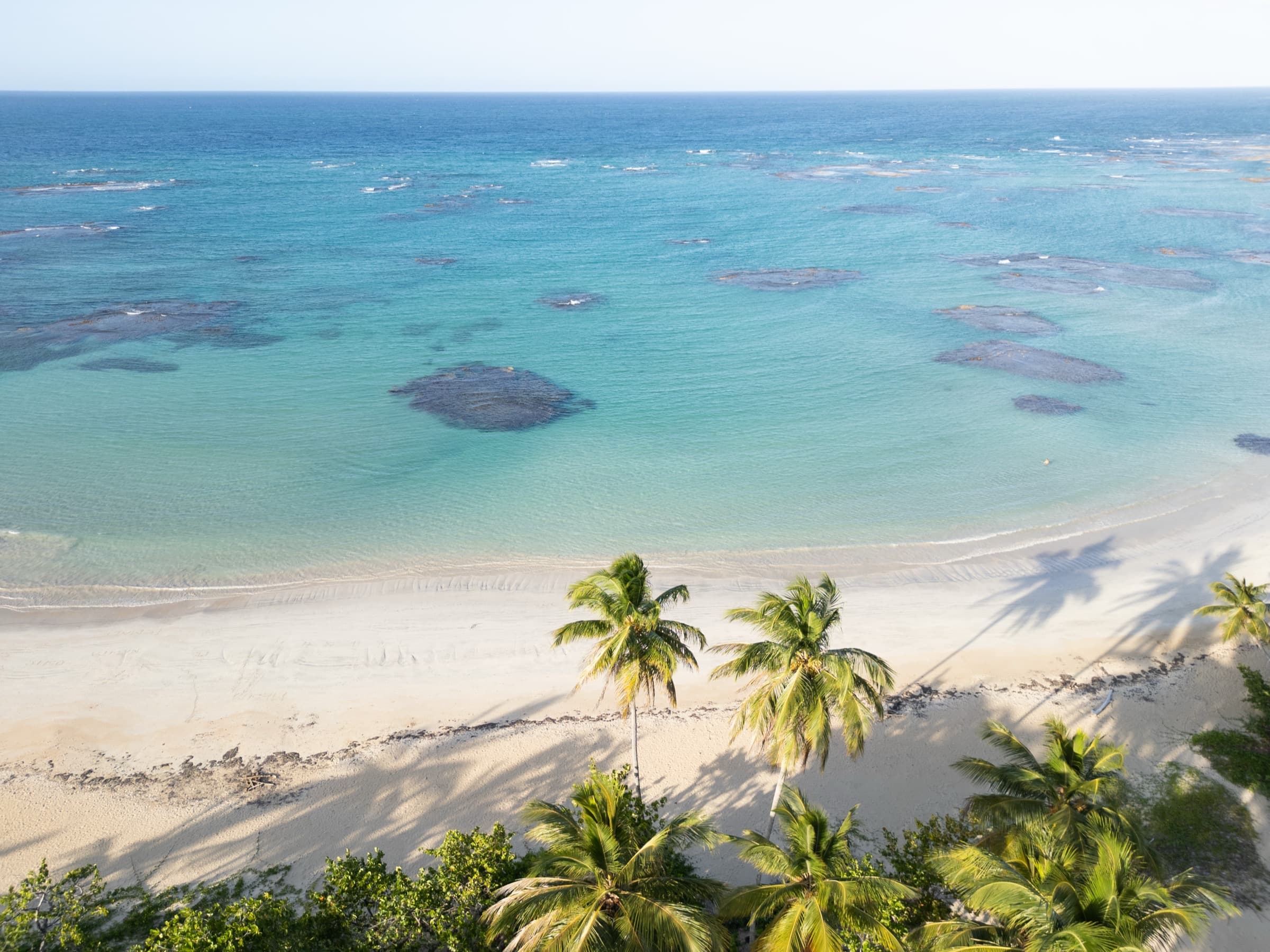 Aerial drone view of a palm-lined beach and turquoise water in the Dominican Republic